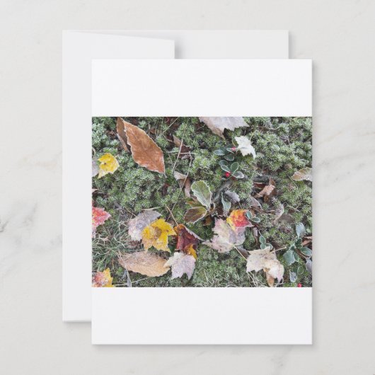 温度霜、フラットノートカード ノートカード (正面)