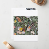 温度霜、フラットノートカード ノートカード (正面/裏面インサイチュ)