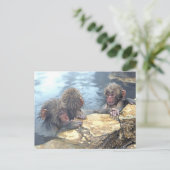 温泉サル ポストカード (スタンド正面)