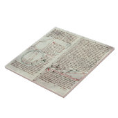 測定および文字(子牛皮紙)の図表 タイル (側面)