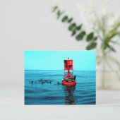 港のブイ、ベンチュラ、カリフォルニア、米国のアシカ ポストカード (スタンド正面)