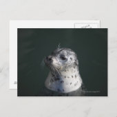 港の印 ポストカード (正面/裏面)