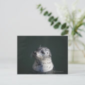 港の印 ポストカード (スタンド正面)