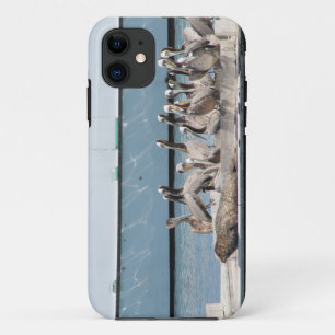港の友人 iPhone 11 ケース