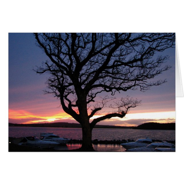 港の日没 (正面横)