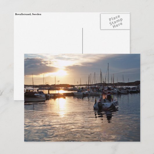 港の日没 ポストカード (正面/裏面)