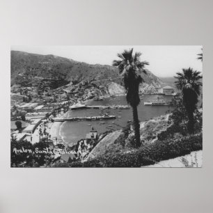 港のAvalonのカリフォルニアサンタCatalinaの島の眺め ポスター