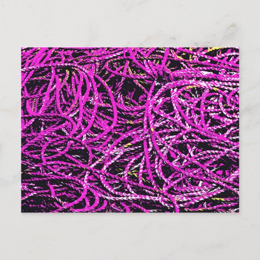 港湾魚釣りロープ ポストカード (正面)