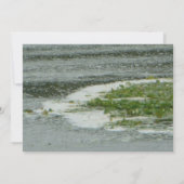 湖での年次パーティーの招待状 招待状 (裏面)