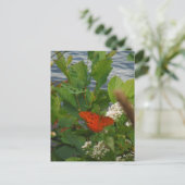 湖でオレンジと黒の蝶 ポストカード (スタンド正面)