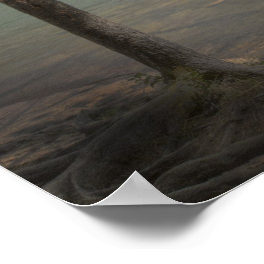 湖でカヌー ポスター (角)