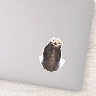 湖で愛らしい笑顔のカワウソ シール