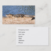 湖で日に晒しているわに 名刺 (正面/裏面)