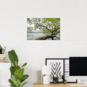 湖で柳 ポスター (ホームオフィス)