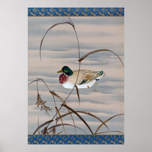 湖で泳ぐアヒル ポスター (正面)