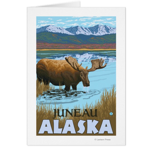 湖で飲むムース – アラスカ，ジュノー (正面)