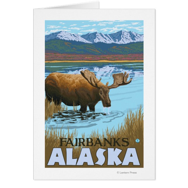 湖で飲むムース – フェアバンクス，アラスカ (正面)