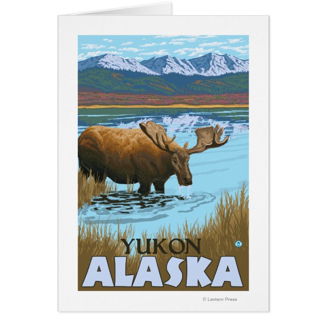 湖で飲むムース – ユーコン，アラスカ (正面)