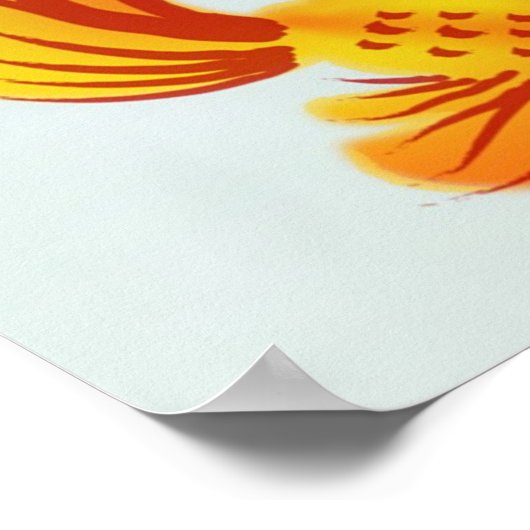 湖とコイ ポスター (角)