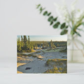 湖と周囲の砂丘の景色が ポストカード (スタンド正面)