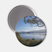 湖と木.JPG マグネット (正面/裏面)