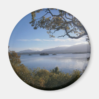 湖と木.JPG マグネット