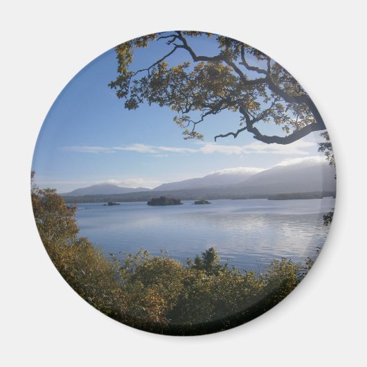 湖と木.JPG マグネット (正面)