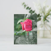 湖による花-赤いバラの芽 ポストカード (スタンド正面)