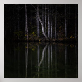 湖に反射する白い木 ポスター