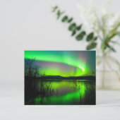 湖に映るオーロラ ポストカード (スタンド正面)