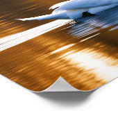 湖に浮かぶ優雅な白鳥 ポスター (角)