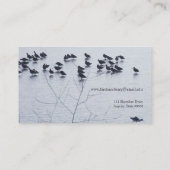 湖に浮かぶ海鳥 名刺 (裏面)