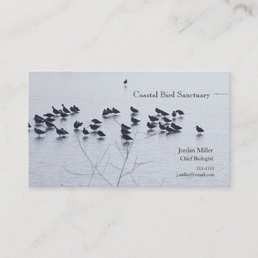 湖に浮かぶ海鳥 名刺 (正面)