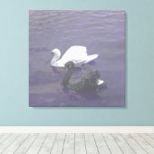 湖に浮かぶ白黒鳥のカップル|過去記事 キャンバスプリント (インサイチュ (ウッドフロア))