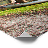 湖のそばに木とボートがあるイタリアの秋 ポスター (角)