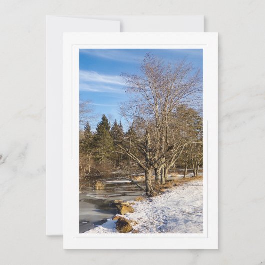 湖のそばの木 – 5x7フラットホリデーカード シーズンカード (正面)