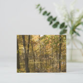 湖のそばの秋の木 ポストカード (スタンド正面)