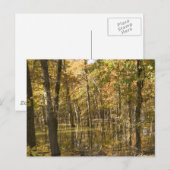 湖のそばの秋の木 ポストカード (正面/裏面)