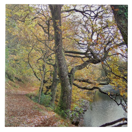 湖のそばの秋 タイル (正面)