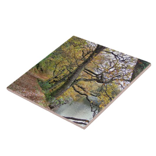 湖のそばの秋 タイル (側面)