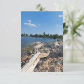 湖のそばの若いカモメ (スタンド正面)