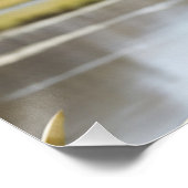 湖のそばの若いコアラ ポスター (コーナー)