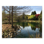 湖のほとりの美しい景色 フォトプリント            (正面)