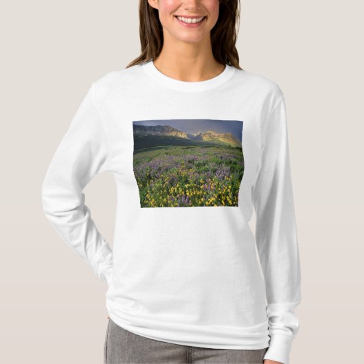 湖のほとりの草原に咲くプレーリーの野花 Tシャツ (正面)