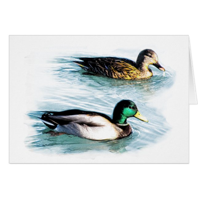 湖のアヒル (正面横)