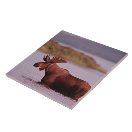 湖のアメリカヘラジカ タイル (側面)