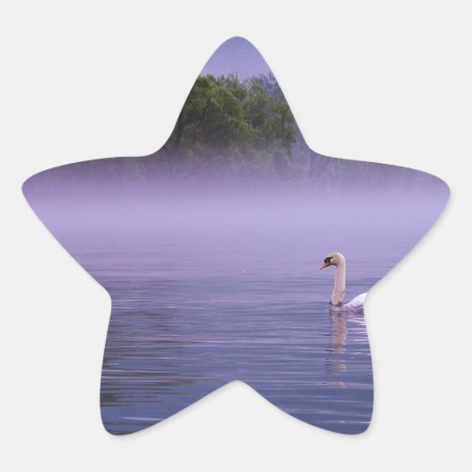 湖のスワン 星シール (正面)