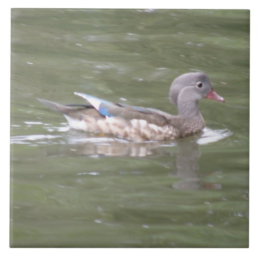湖のタイルの上でアヒル タイル (正面)