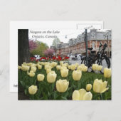 湖のナイアガラ ポストカード (正面/裏面)