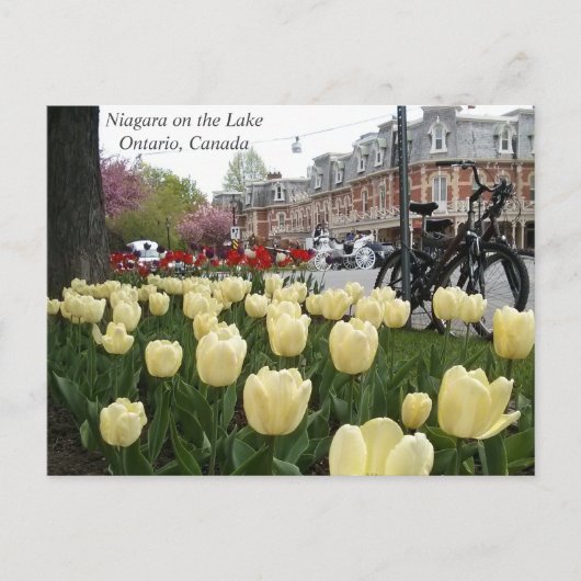 湖のナイアガラ ポストカード (正面)